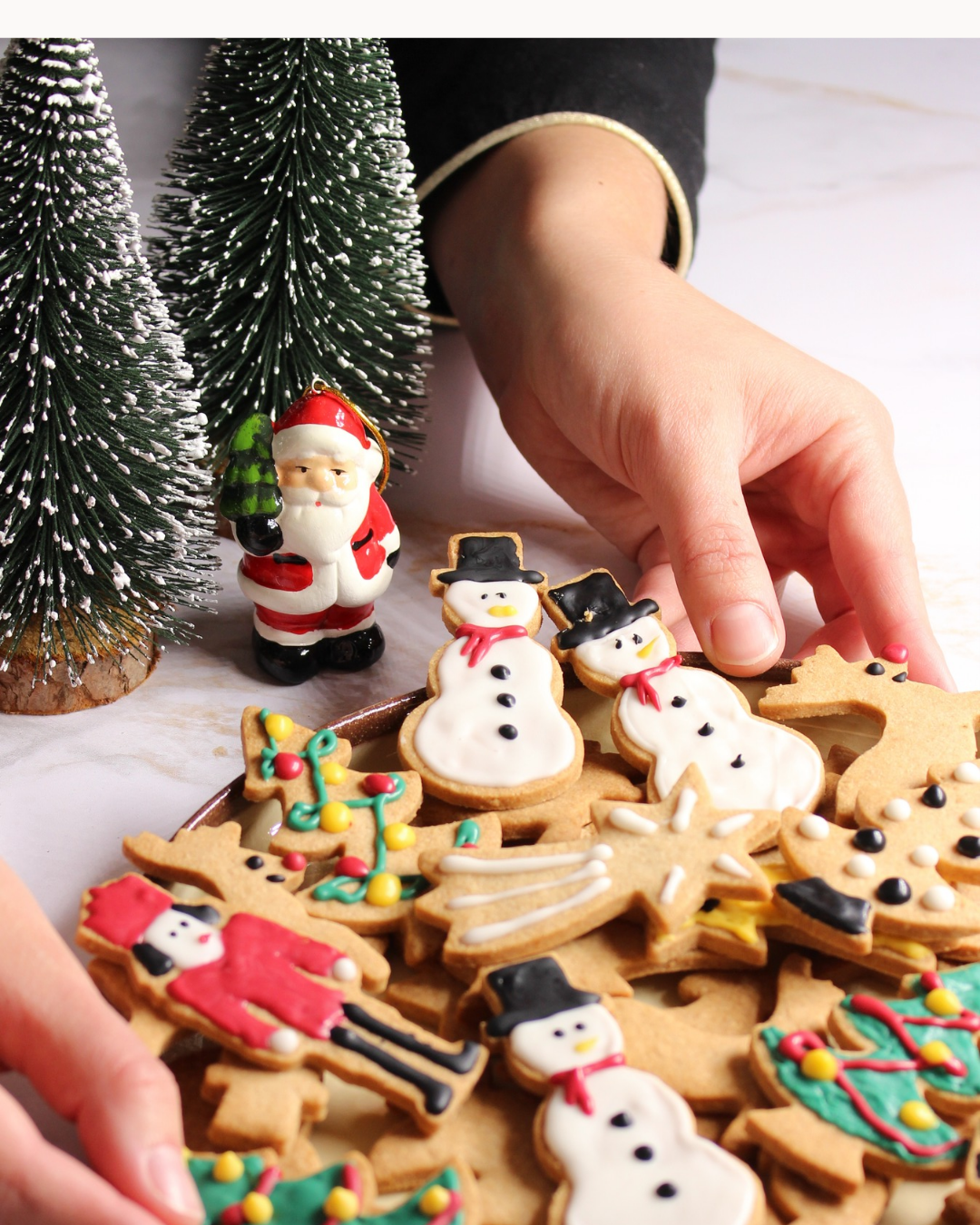 Biscuit de noël